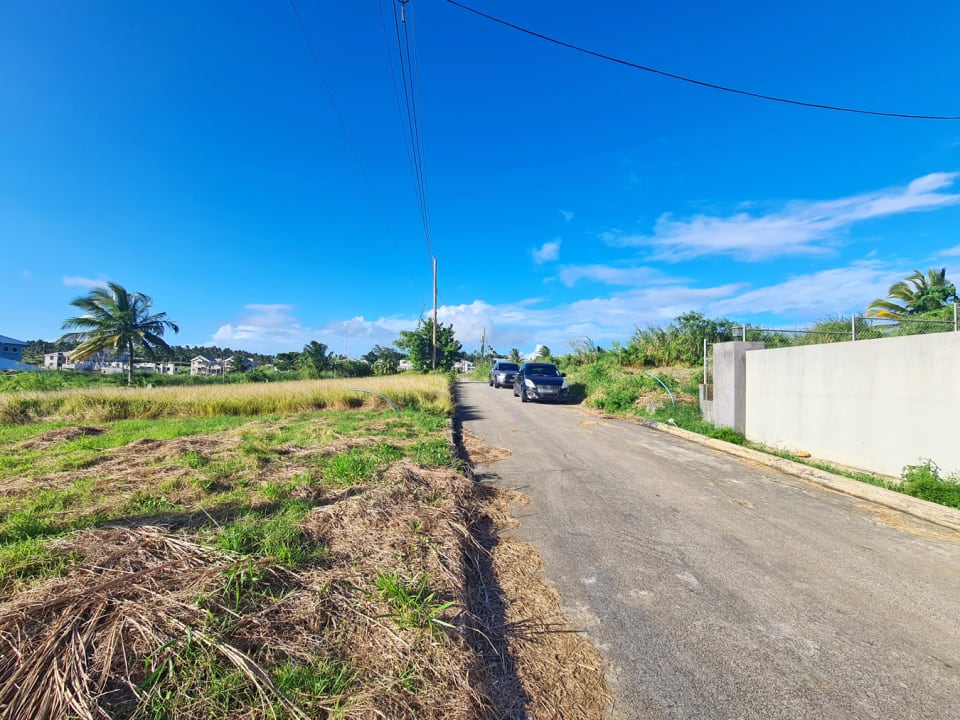 Streetscape, land on the left