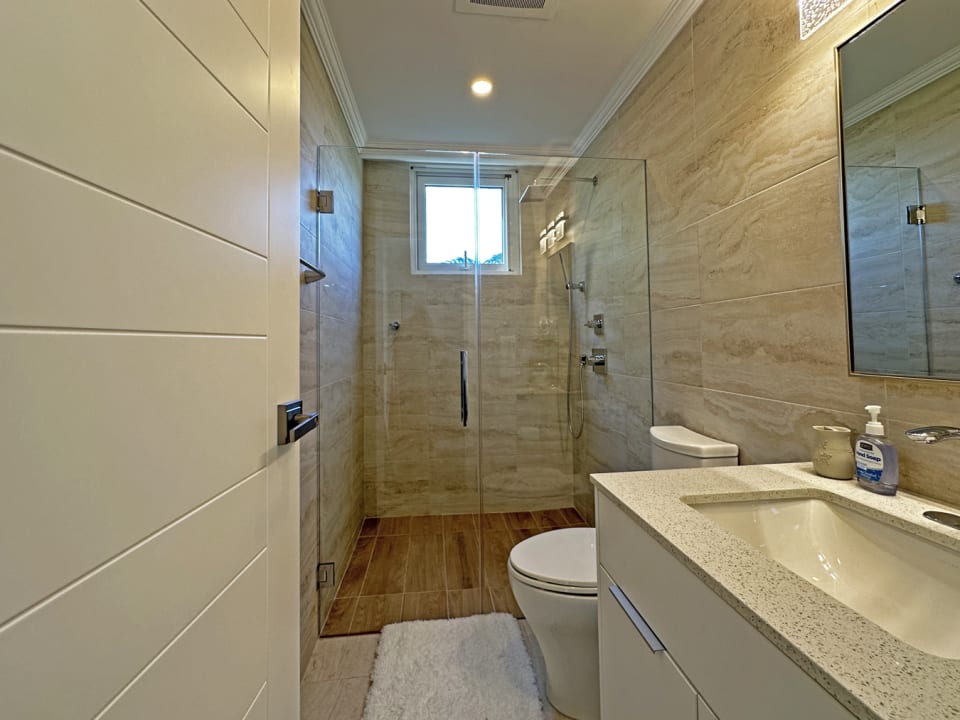 Guest bathroom