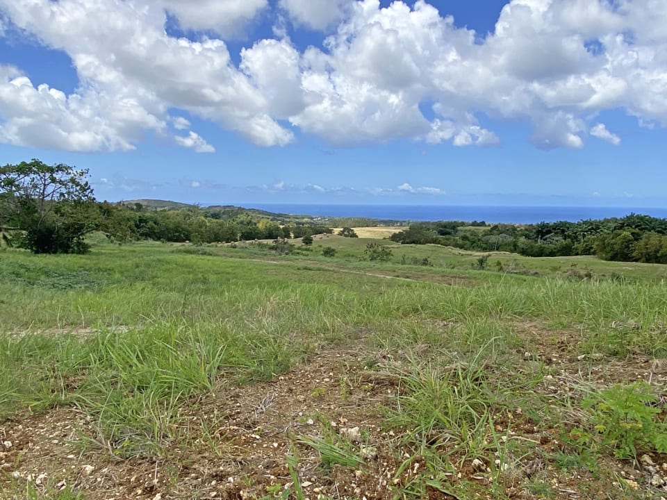 Sea views from the serene Sunset Views hillside.