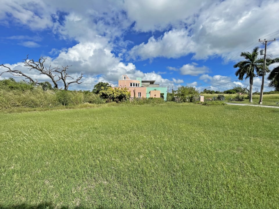 View from middle of lot looking north