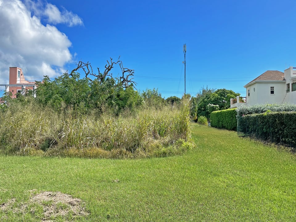 Back of property starts at the Tree