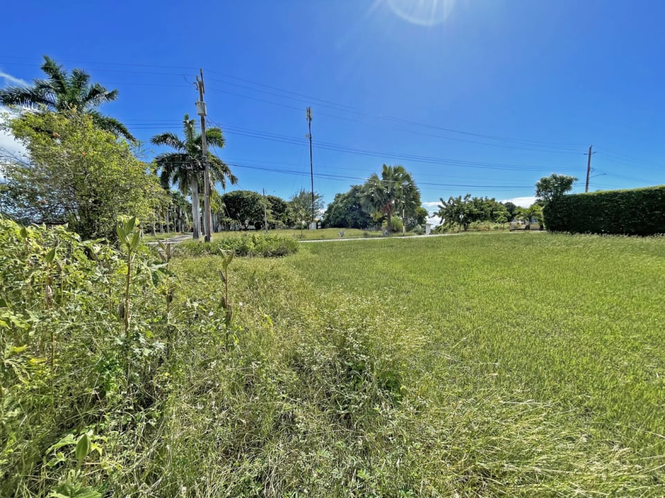 View from back north west side of the lot facing the front