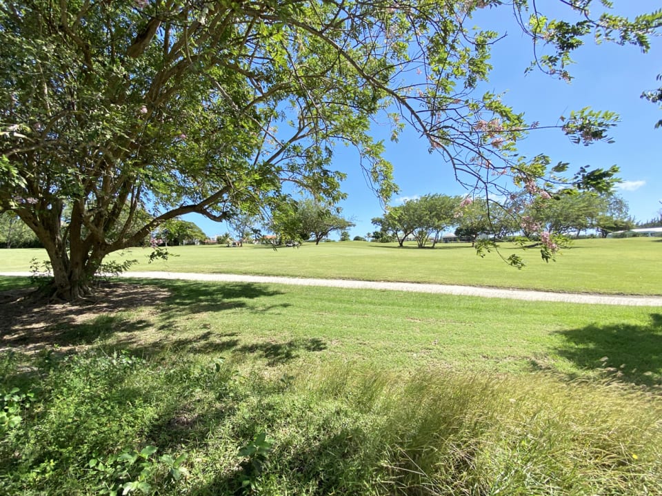 View of Golf Course