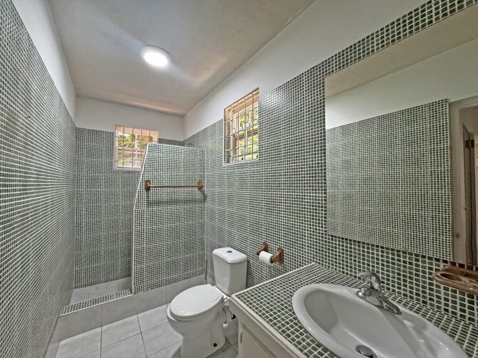 Ground level guest bathroom
