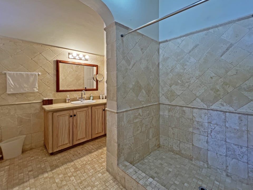 Guest bathroom