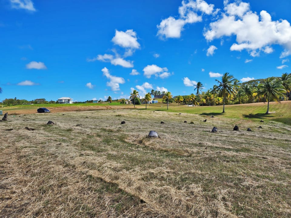 Land is generally flat and gently sloping