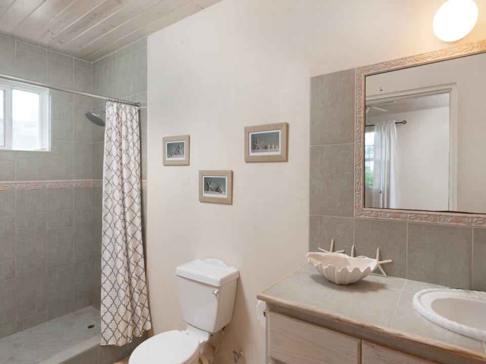 Main bathroom in upper apartment