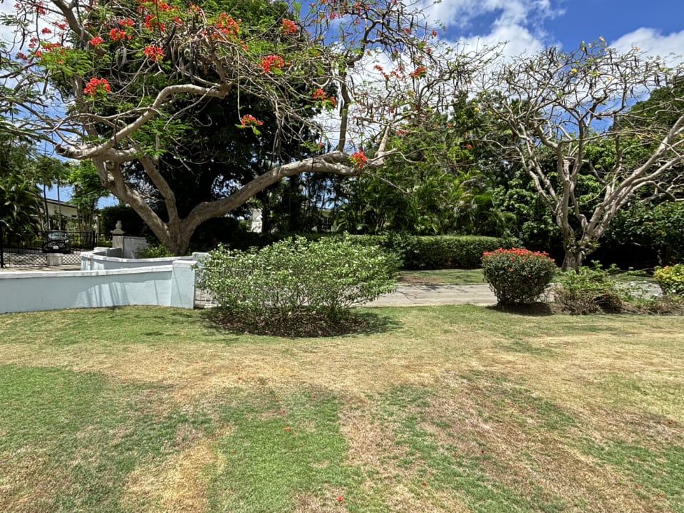 Extensive Lawn - Flowering Trees