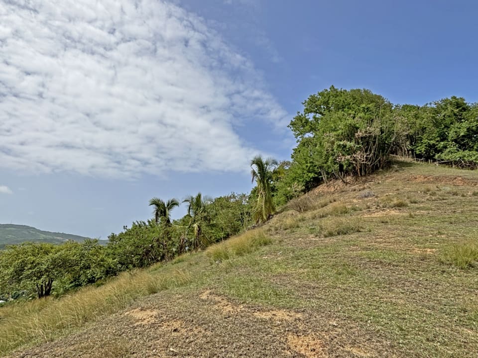 View of the Land