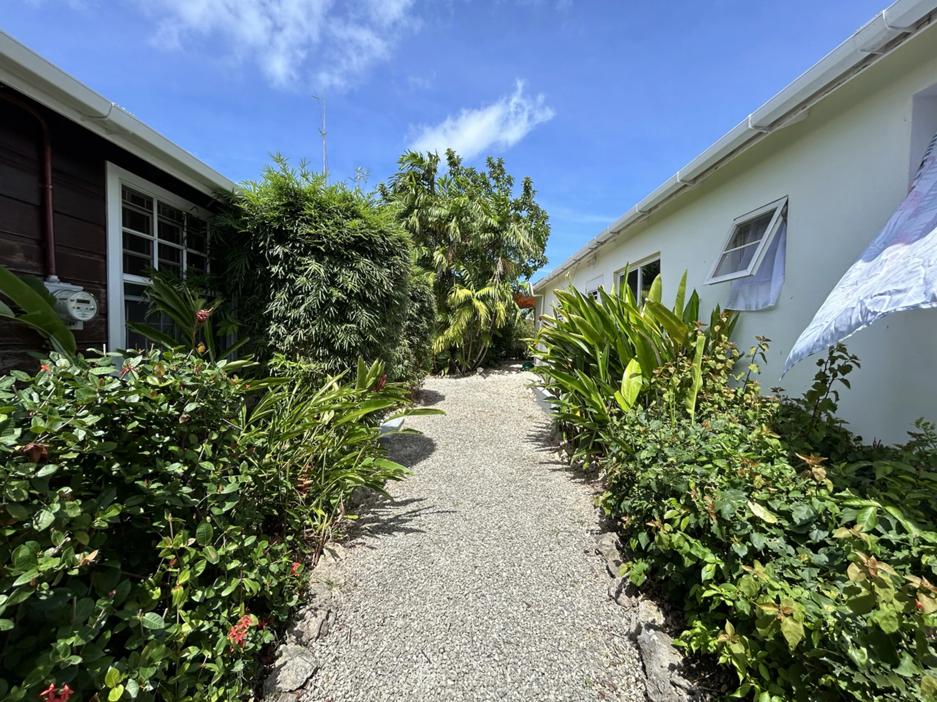 Azalea Studios
