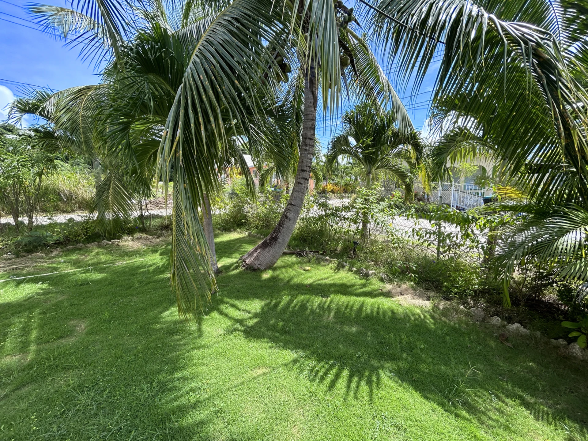 Front Garden