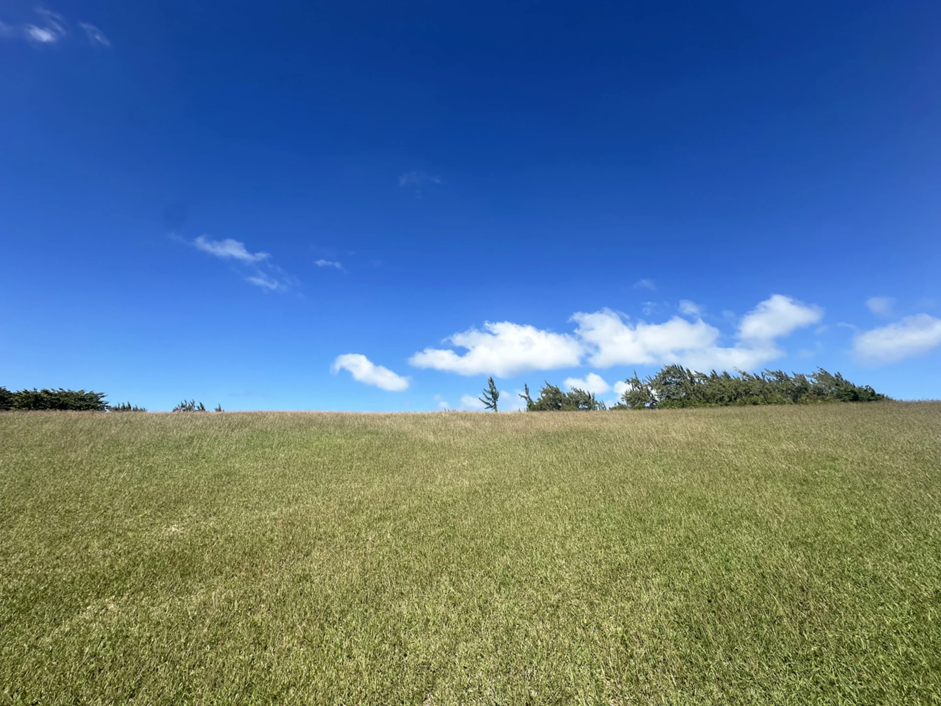 Elevated lot with cool easterly breezes