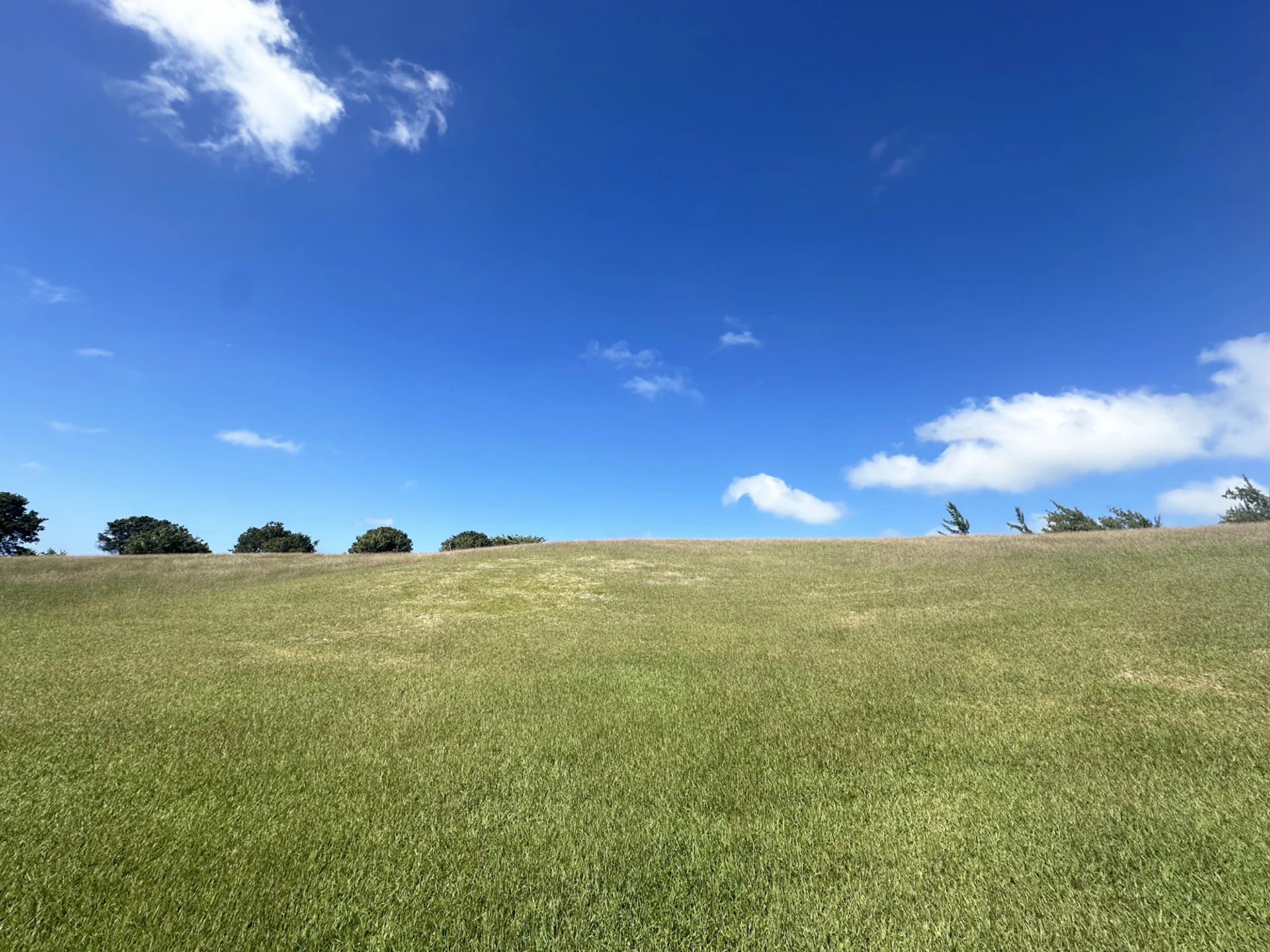 Elevated large plot in a desirable neighbourhood