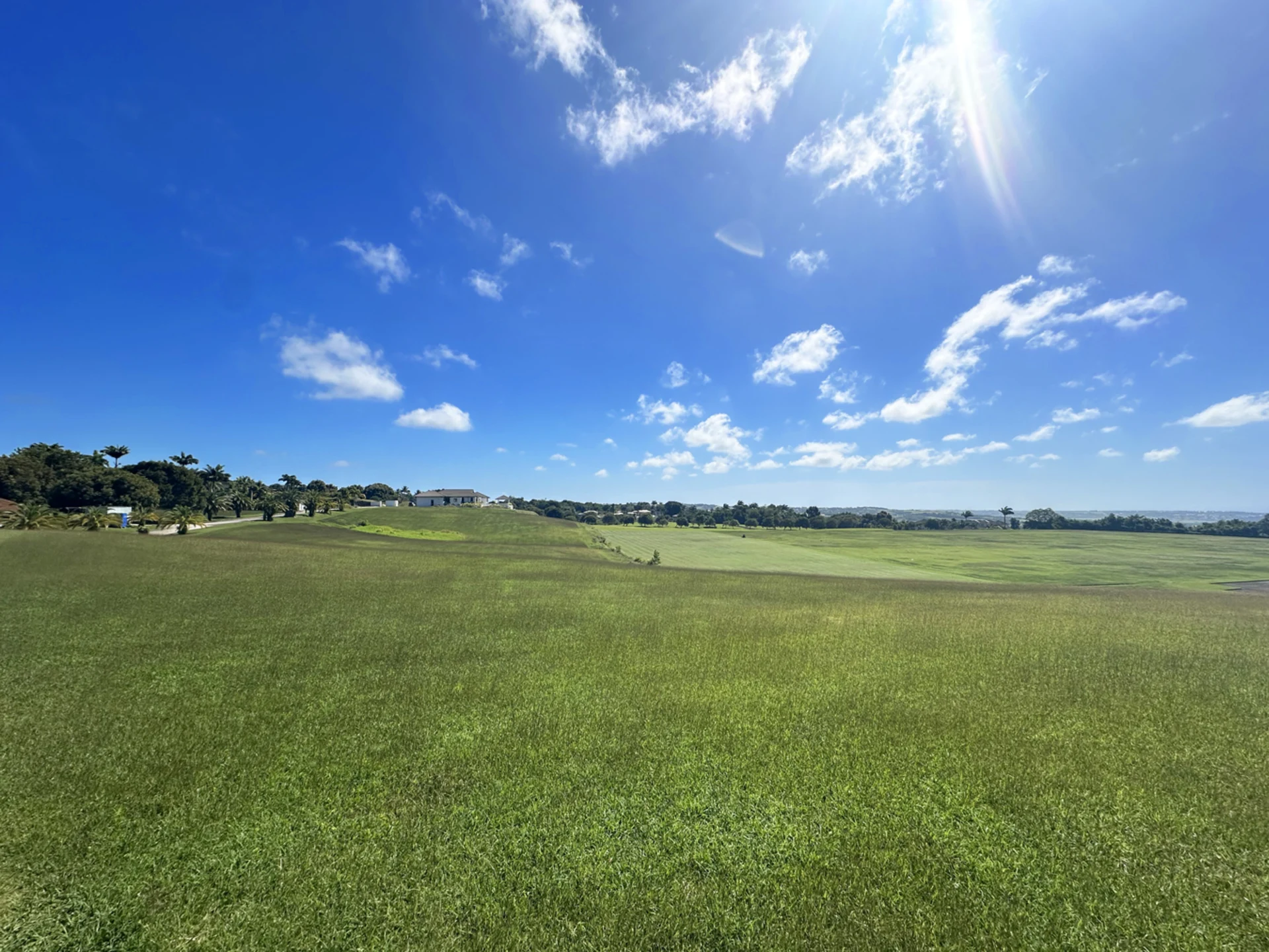 View looking to the East of the plot