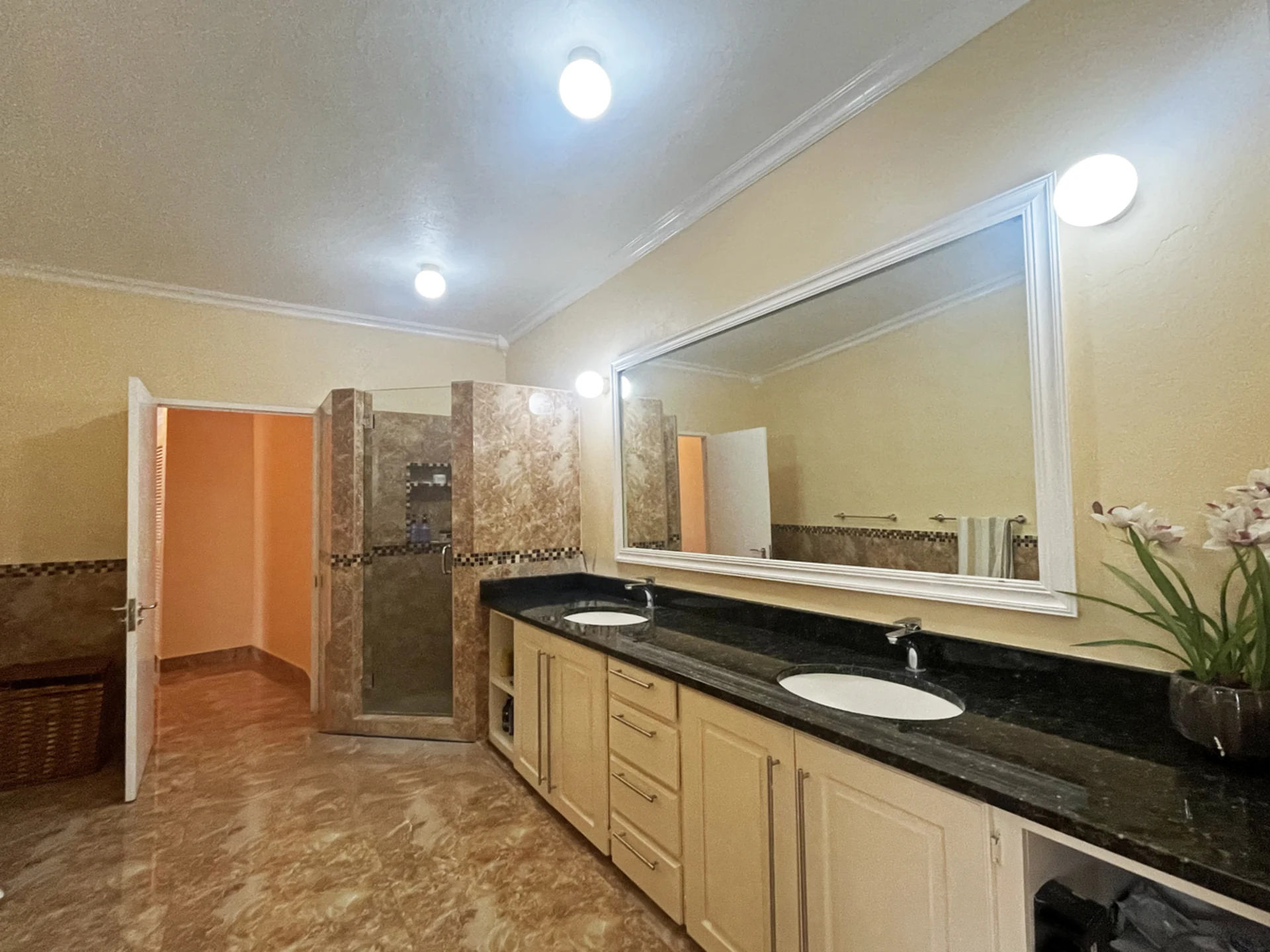 Lower guest bathroom