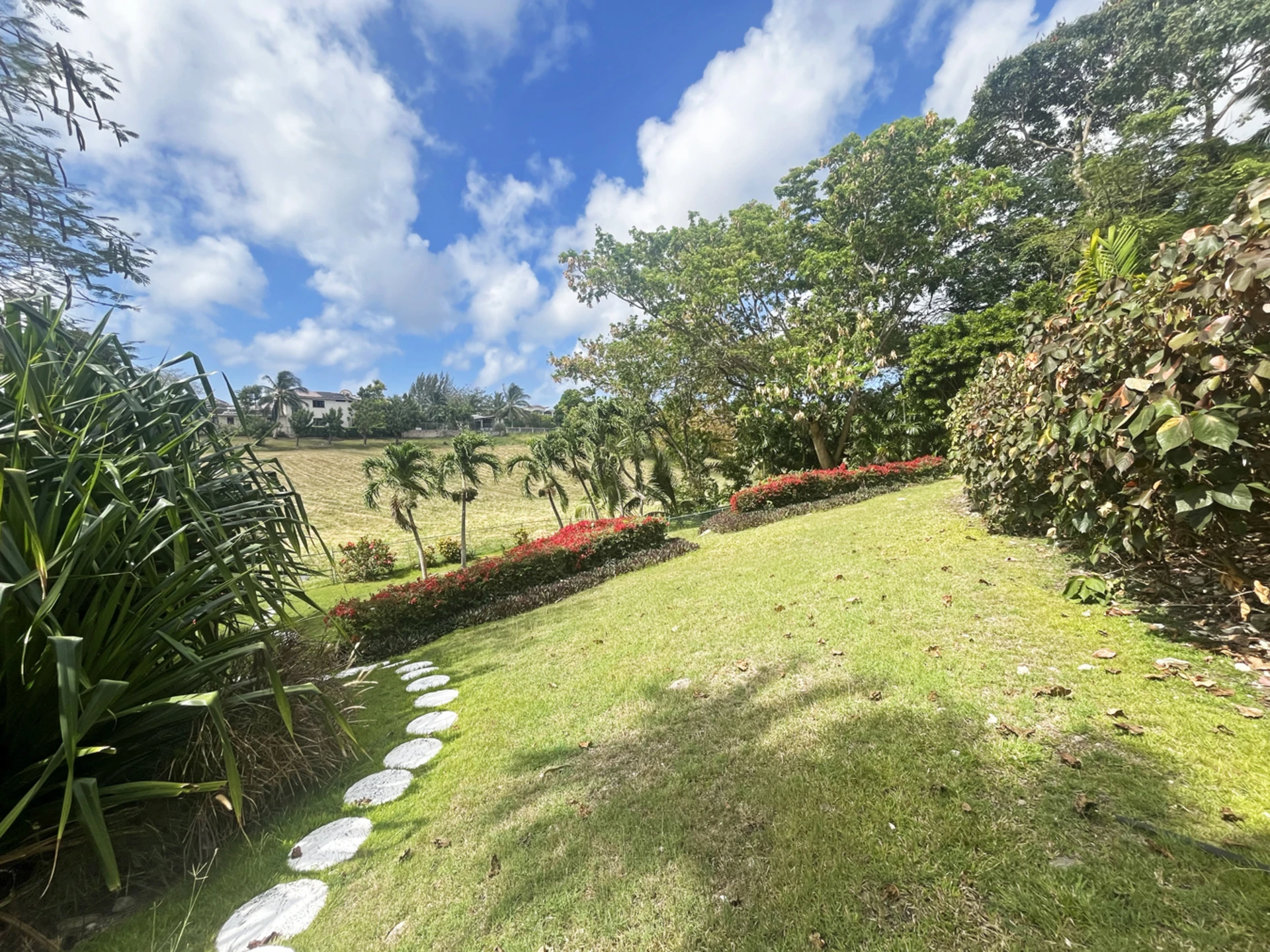 Spacious tropical garden