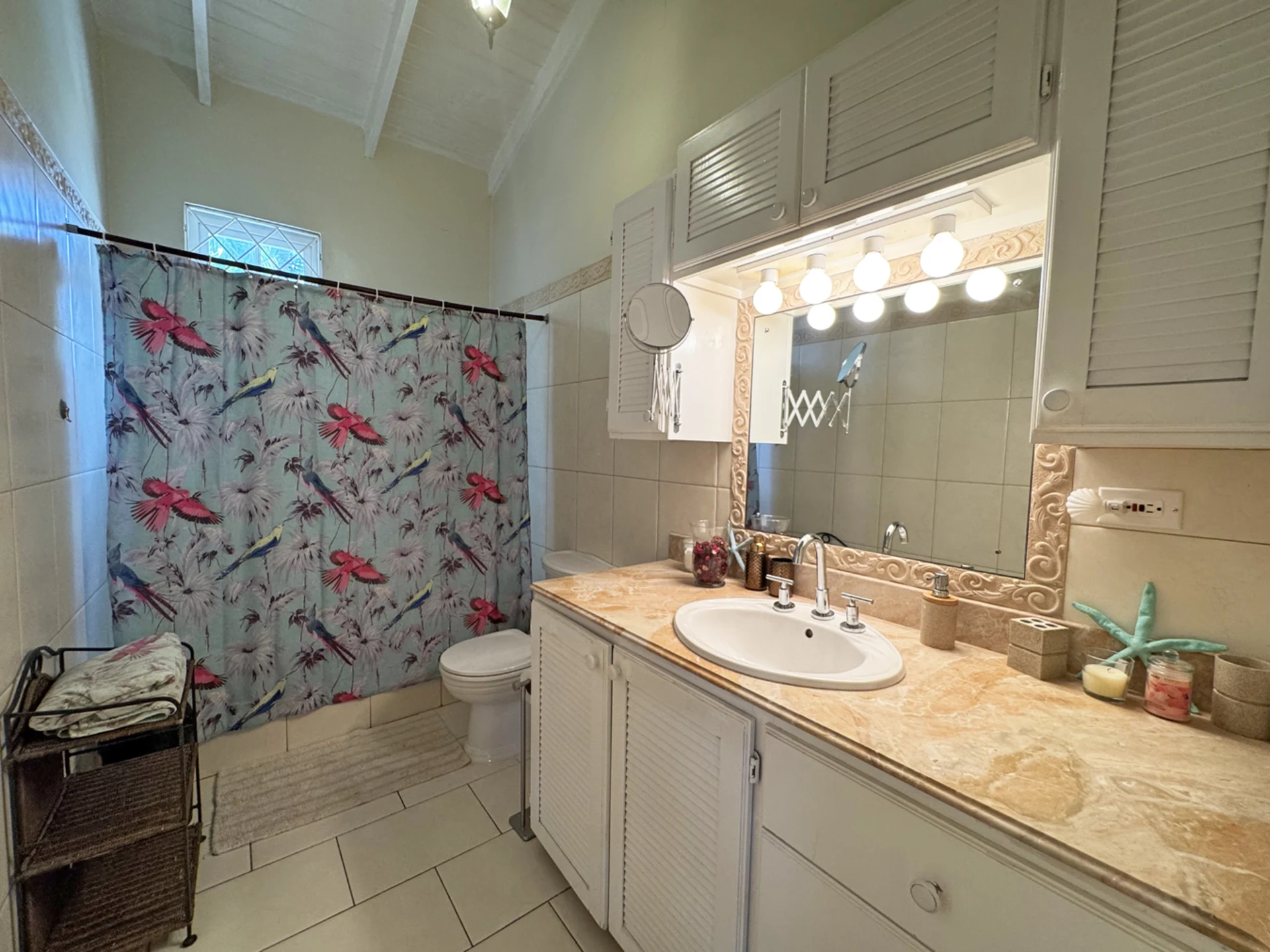 Guest bathroom