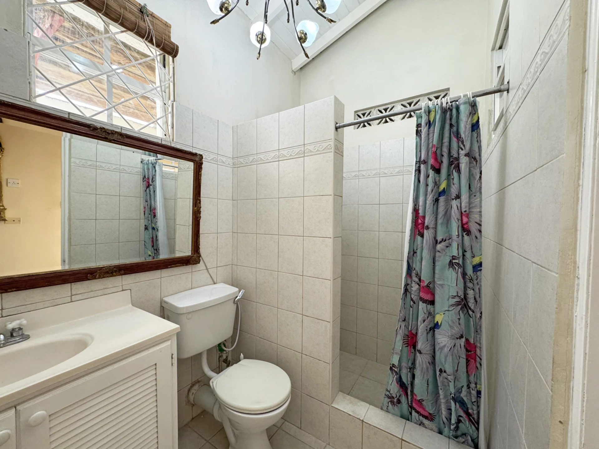 Annex bathroom