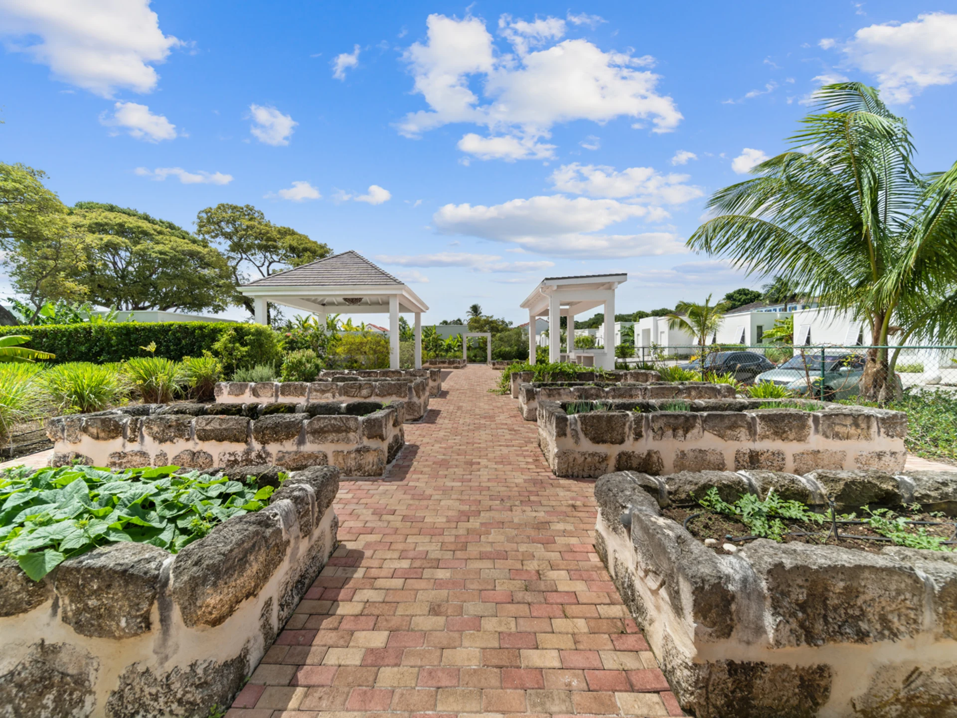 Communal gardens