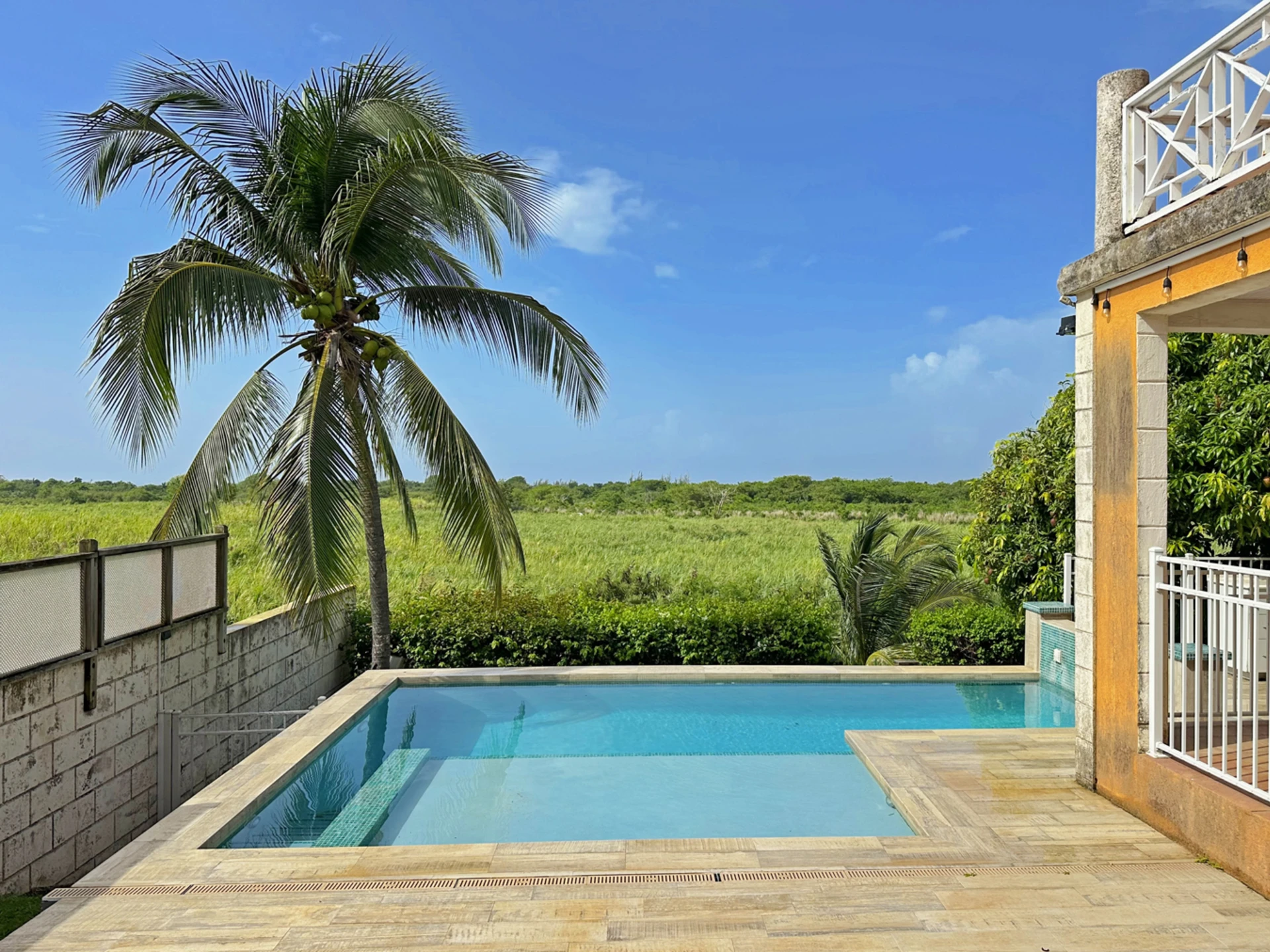 Shared Pool