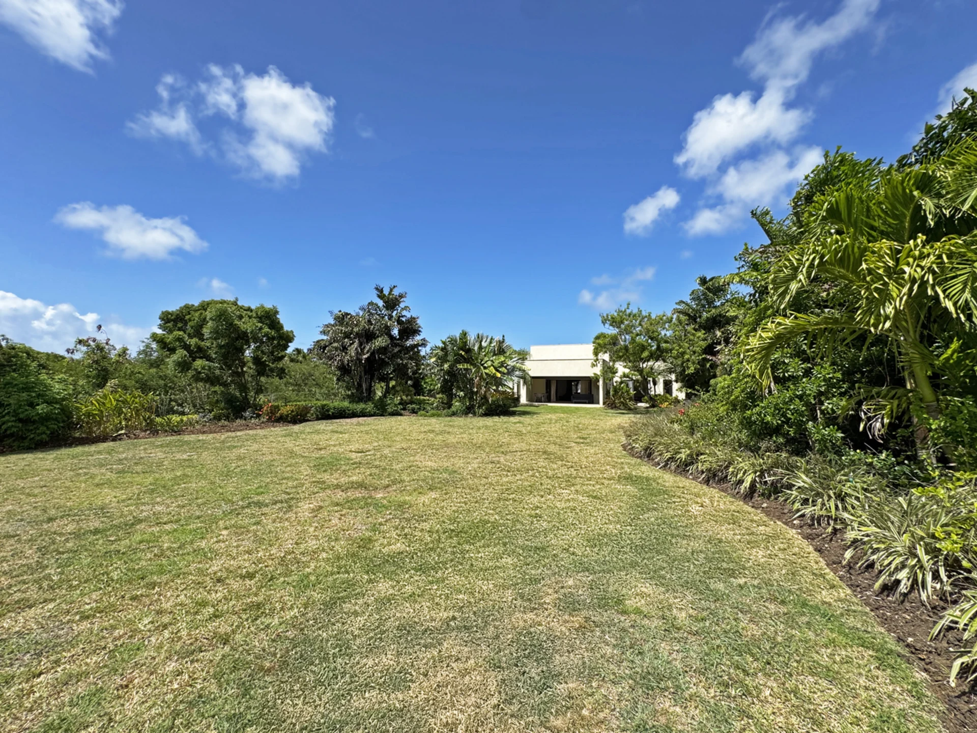Spacious garden