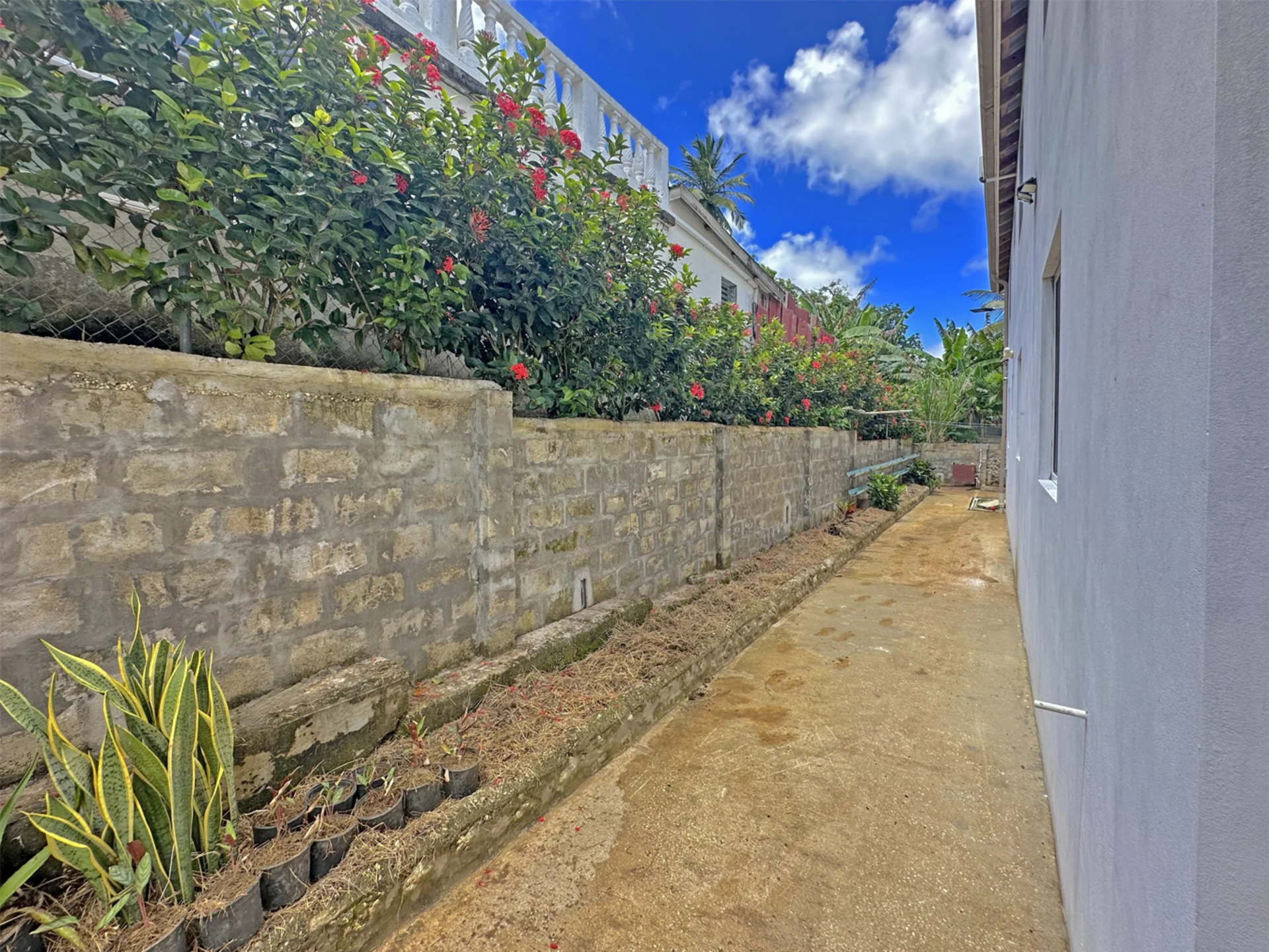 Side of property