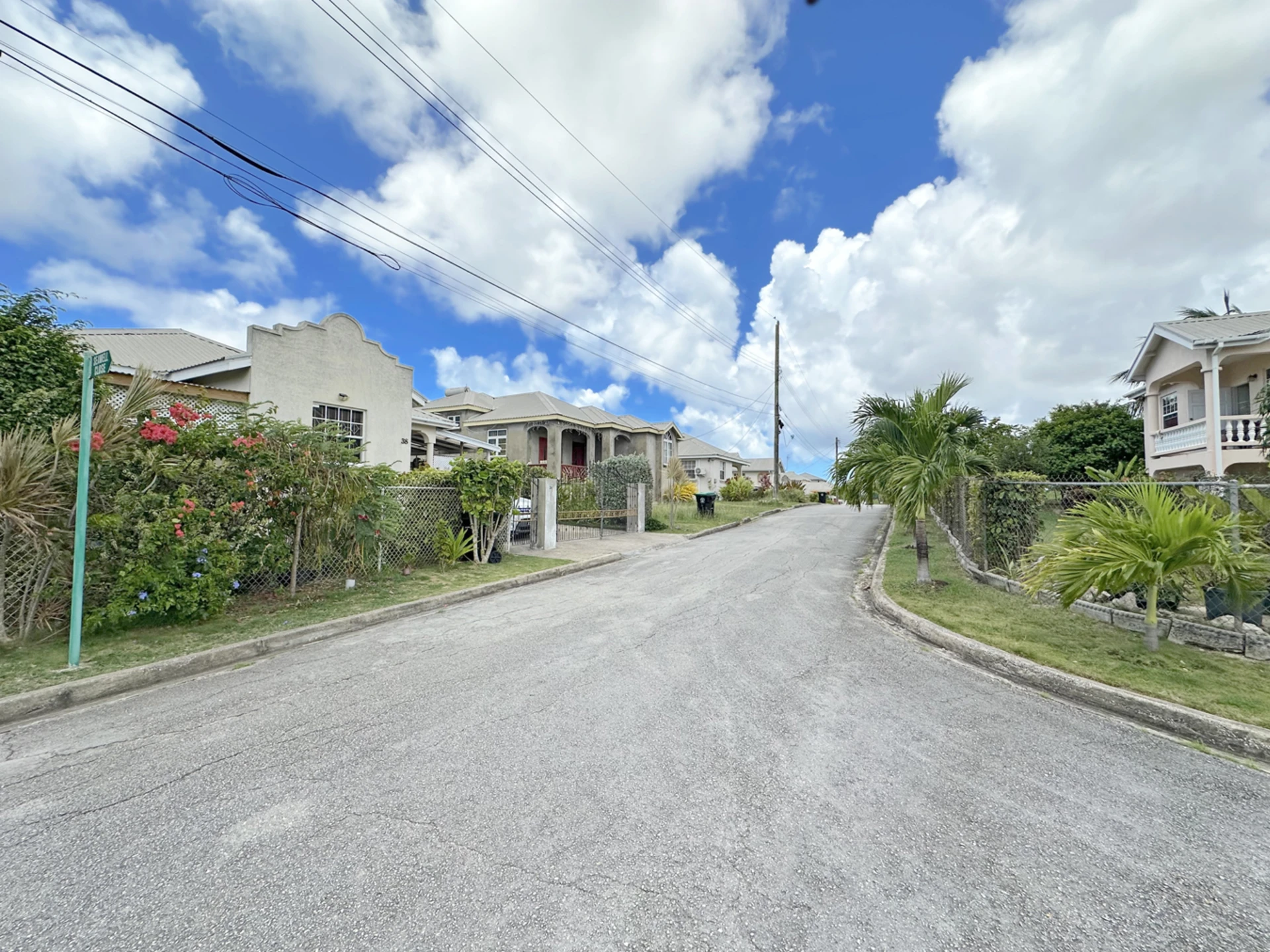 Road view