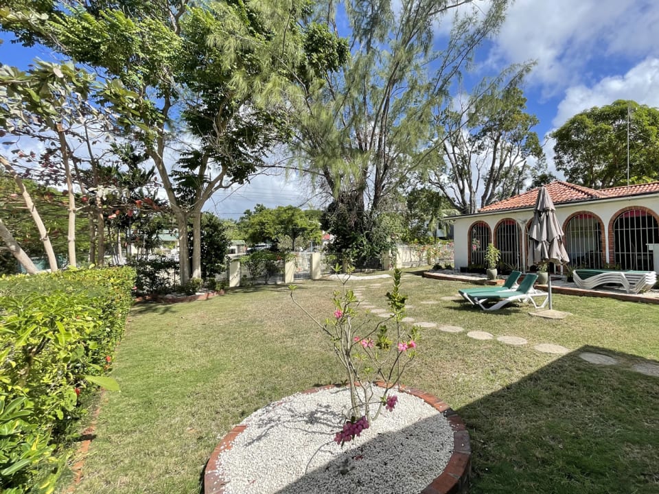 Garden