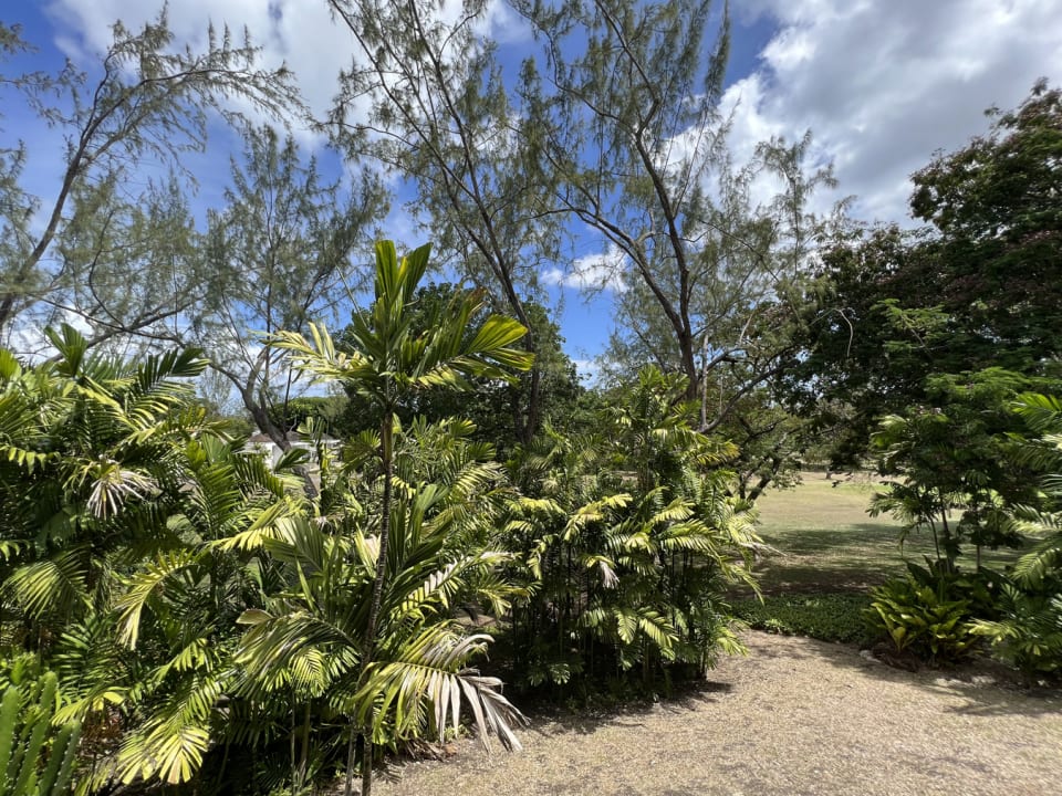 View from the Patio