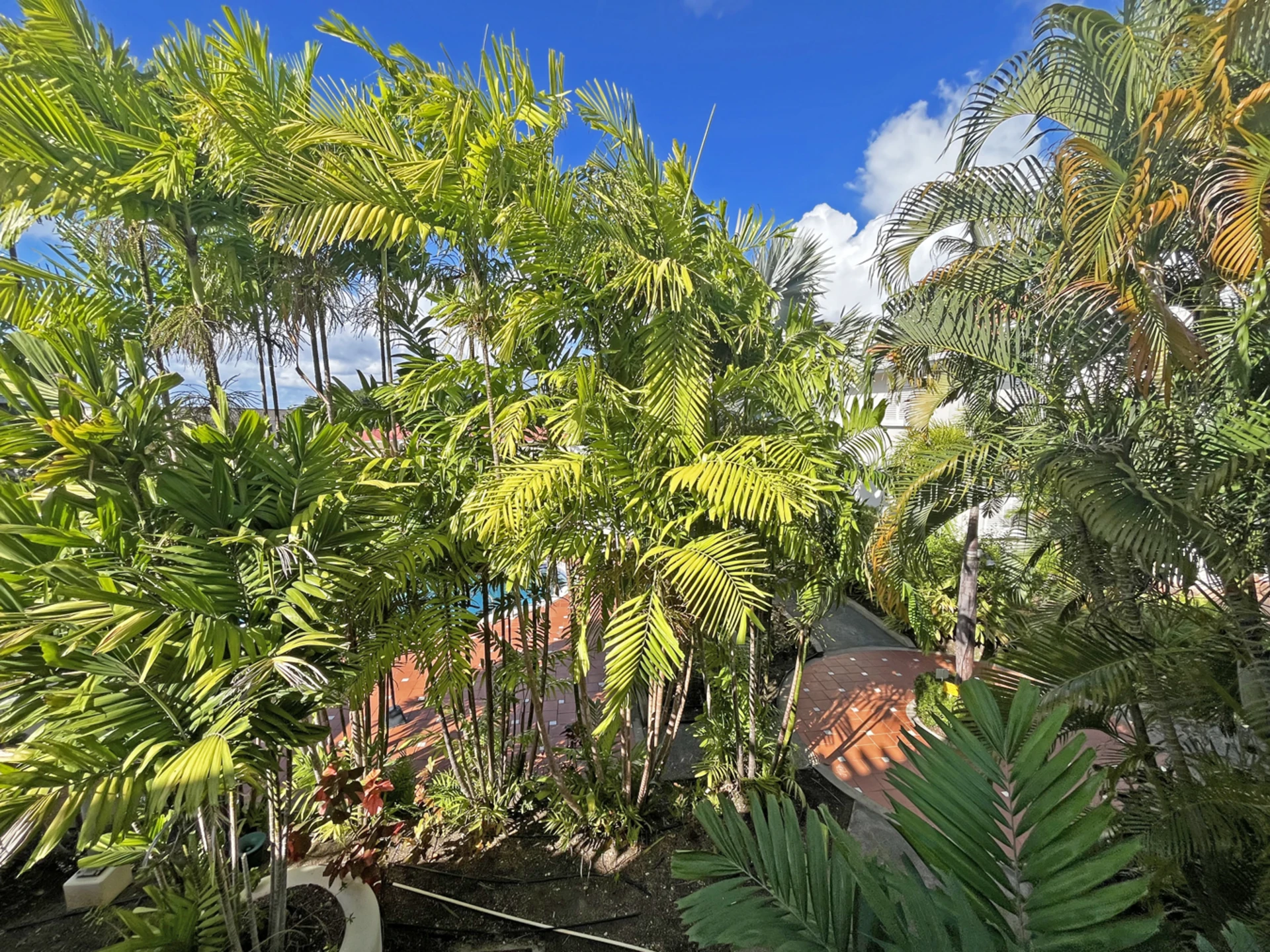 View from the balcony