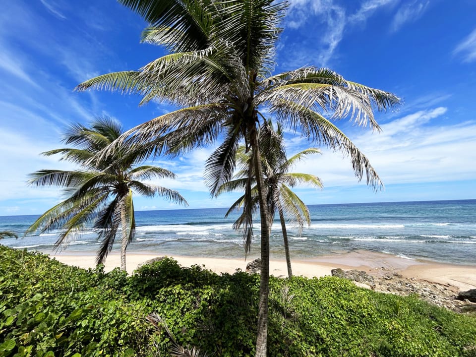 East Coast Sea Views in Barbados