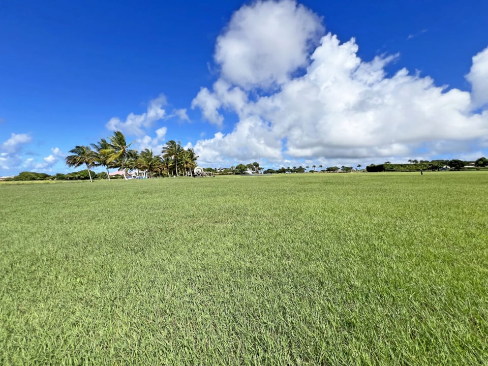 North Views of Polo Field