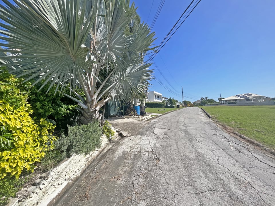 Streetscape on Oyster Drive