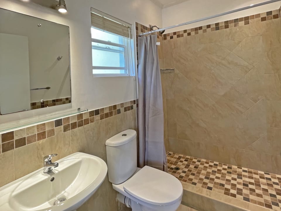 Ensuite bathroom 2