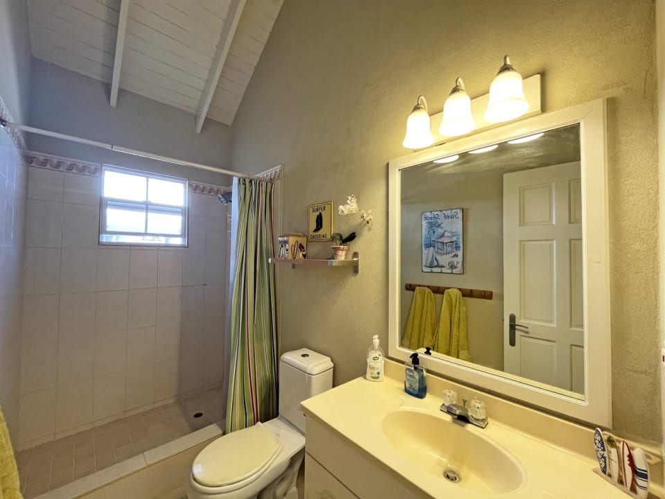 Guest bathroom