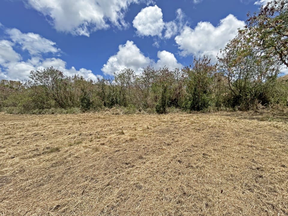 land in Barbados for sale