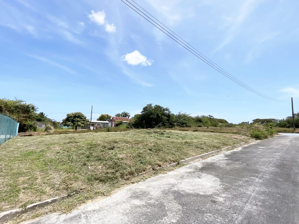 View of lot 6 looking west