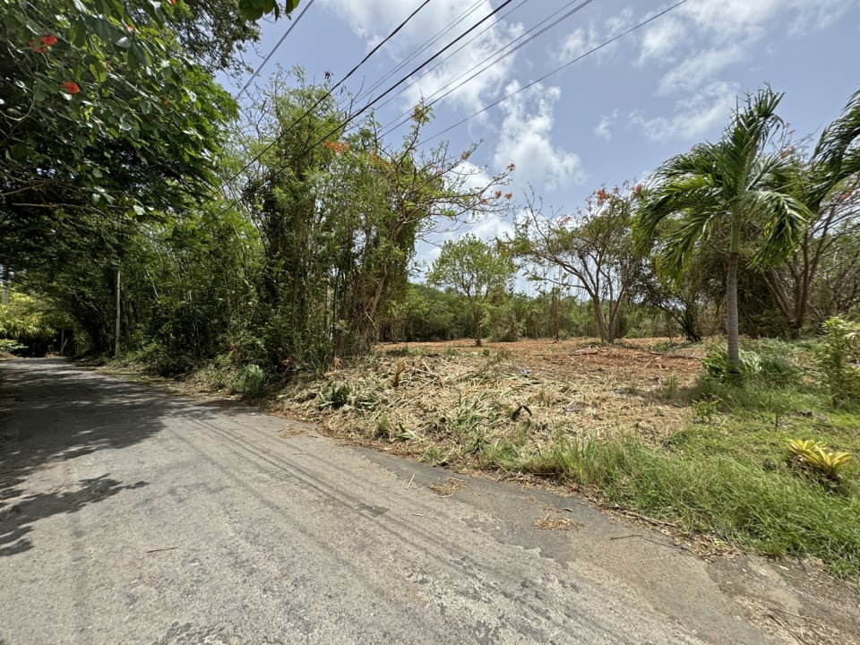 North east of site along Mullins Road