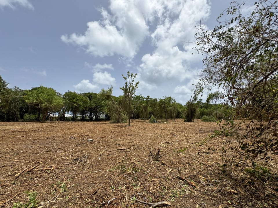 Site recently cleared looking west