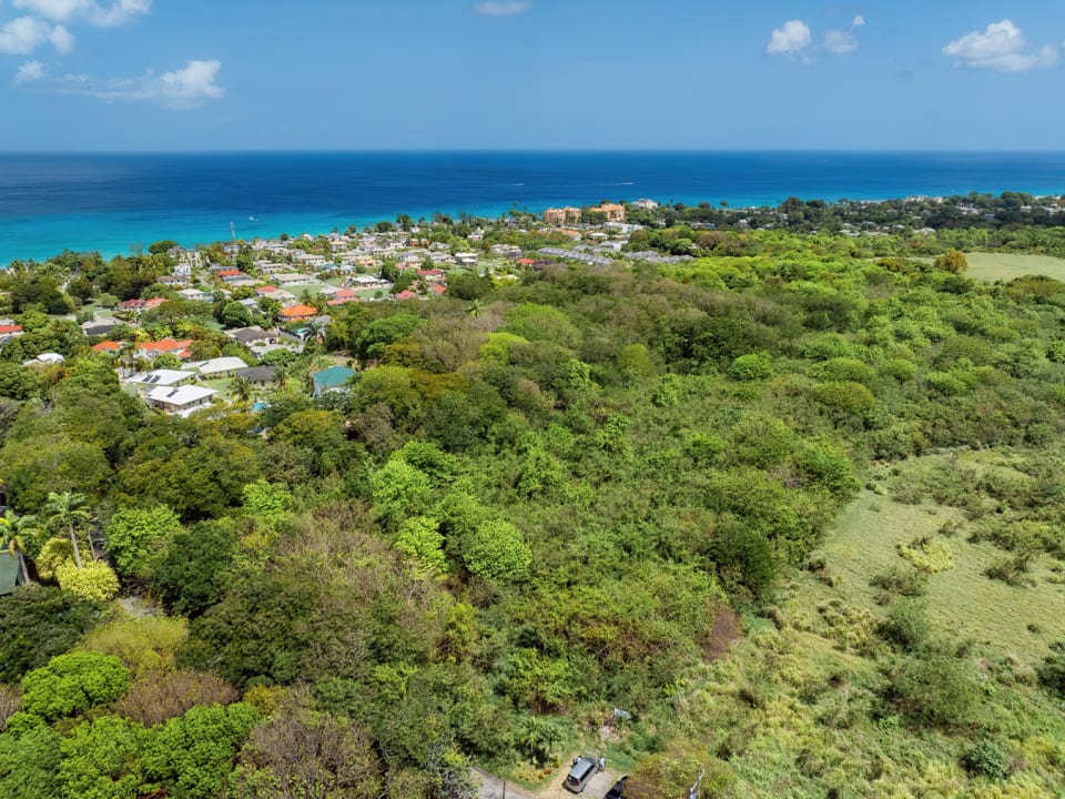 Aerial view of entire site