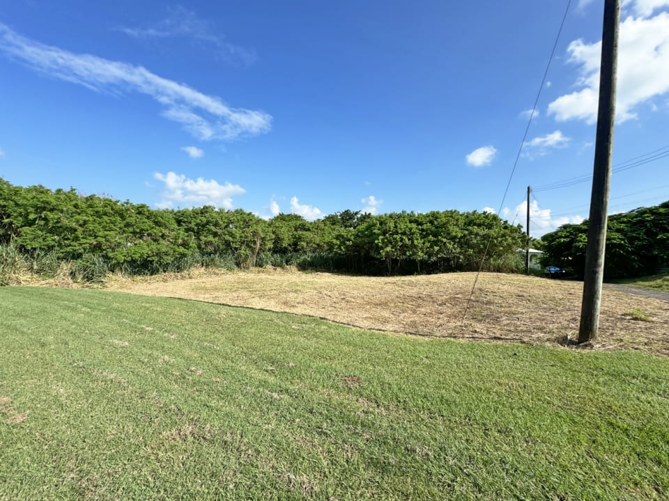 View of Maynards 168 level land lot