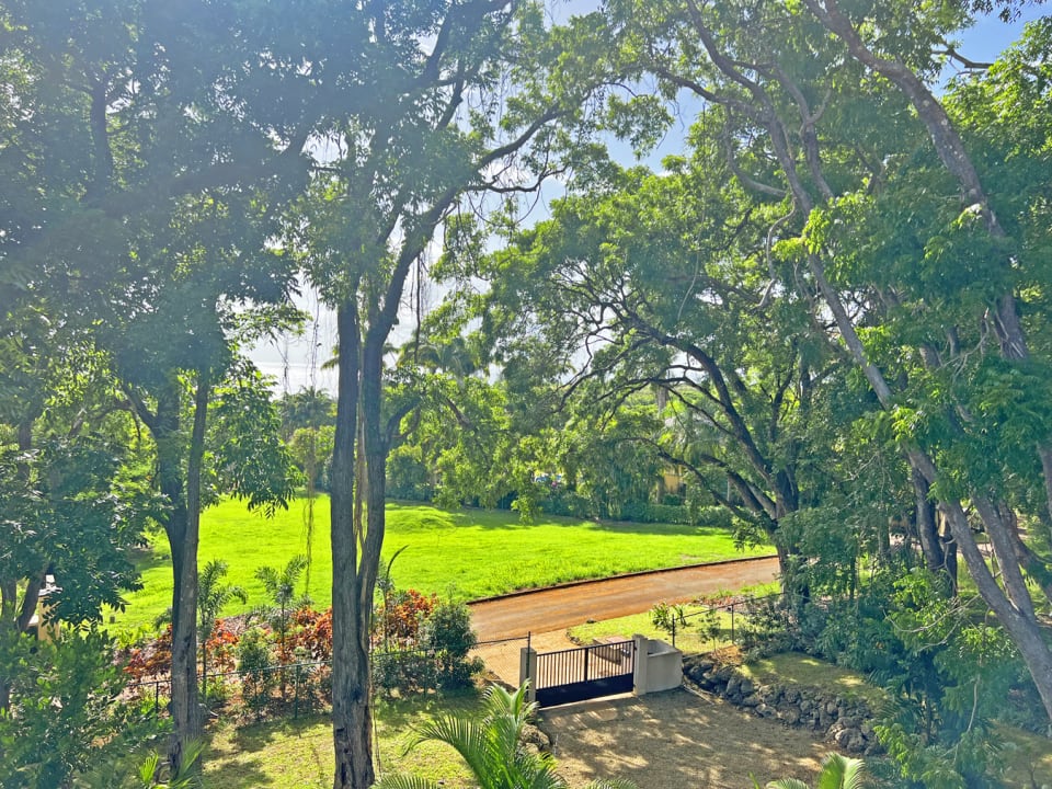 Beautiful views