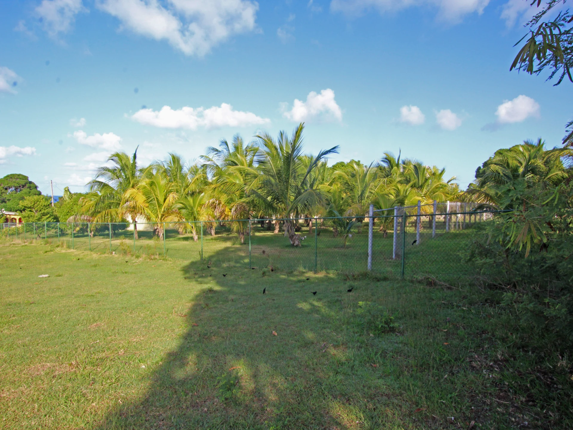 Views of the site