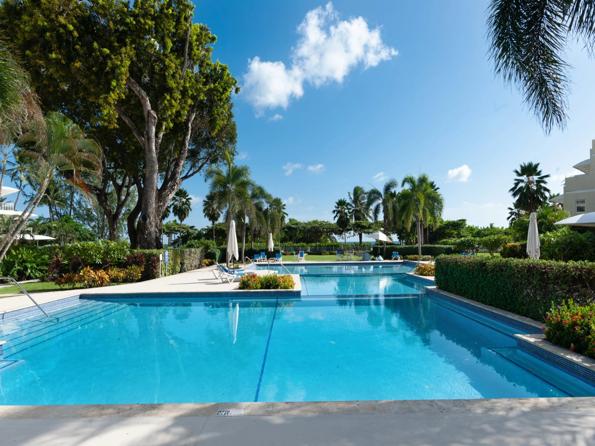 Very large communal pool and grounds