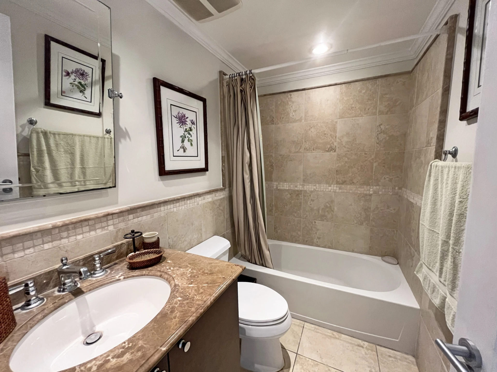 Guest bathroom