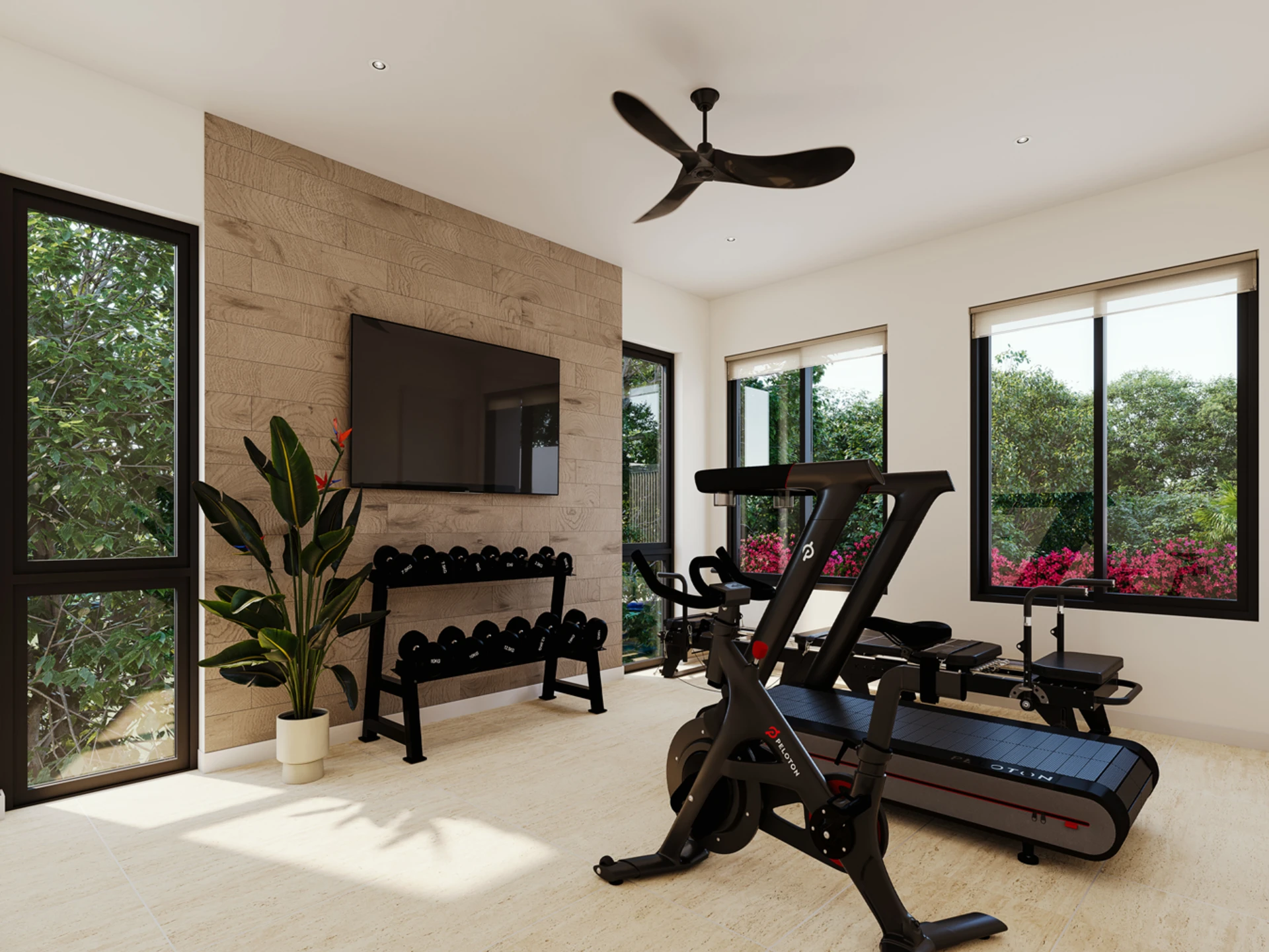 Gym