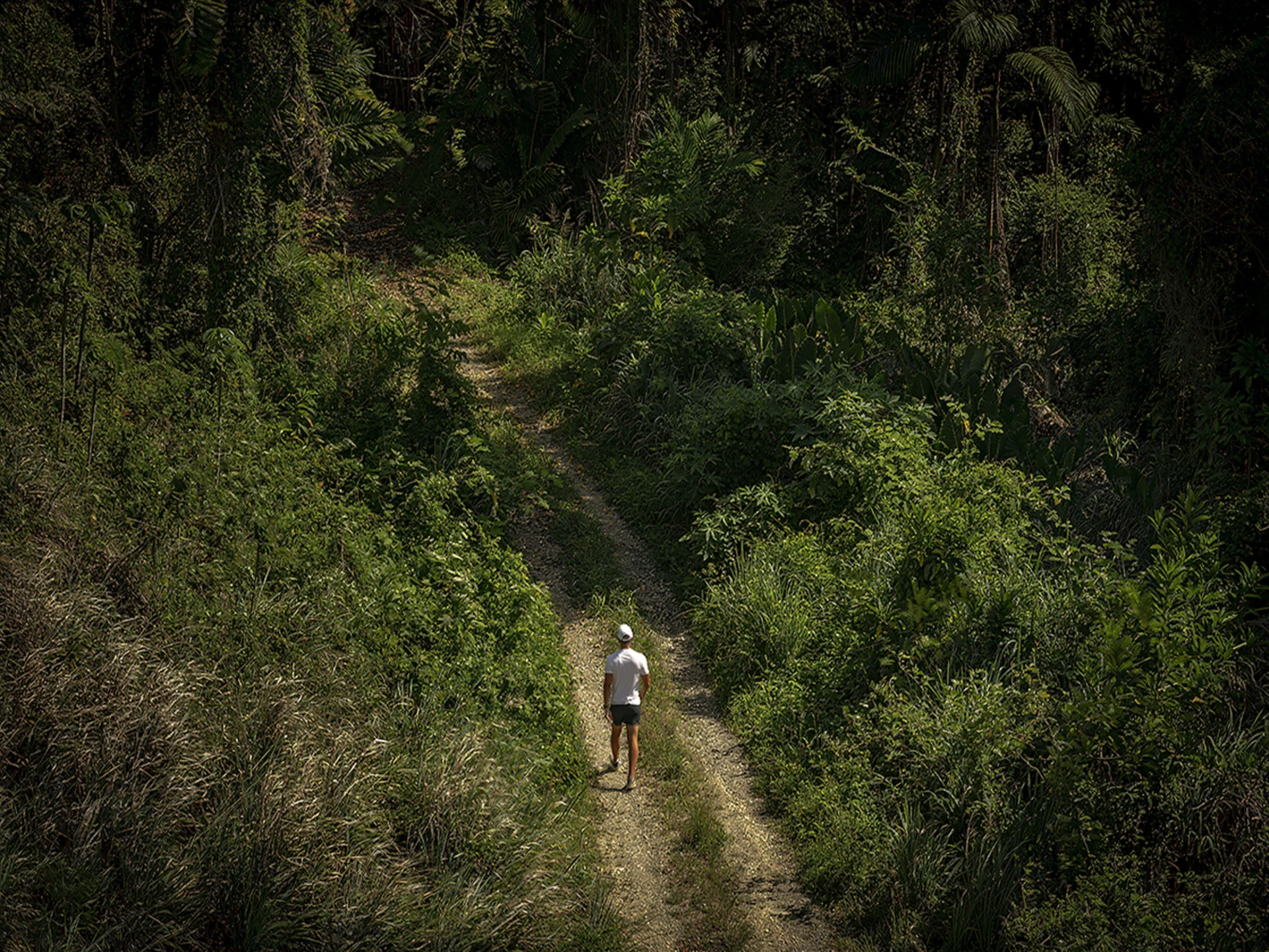 Hiking and walking trail