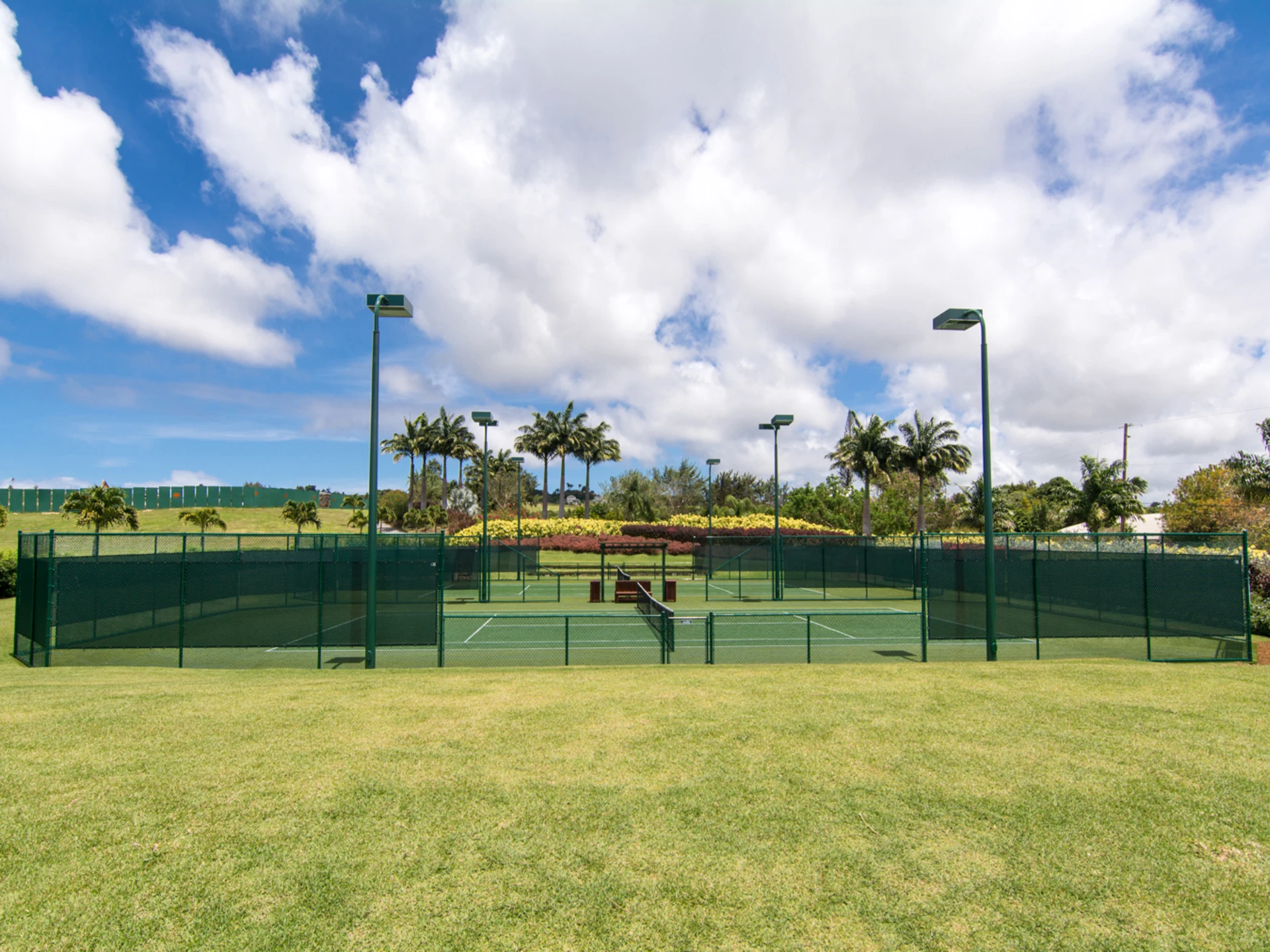 Tennis court