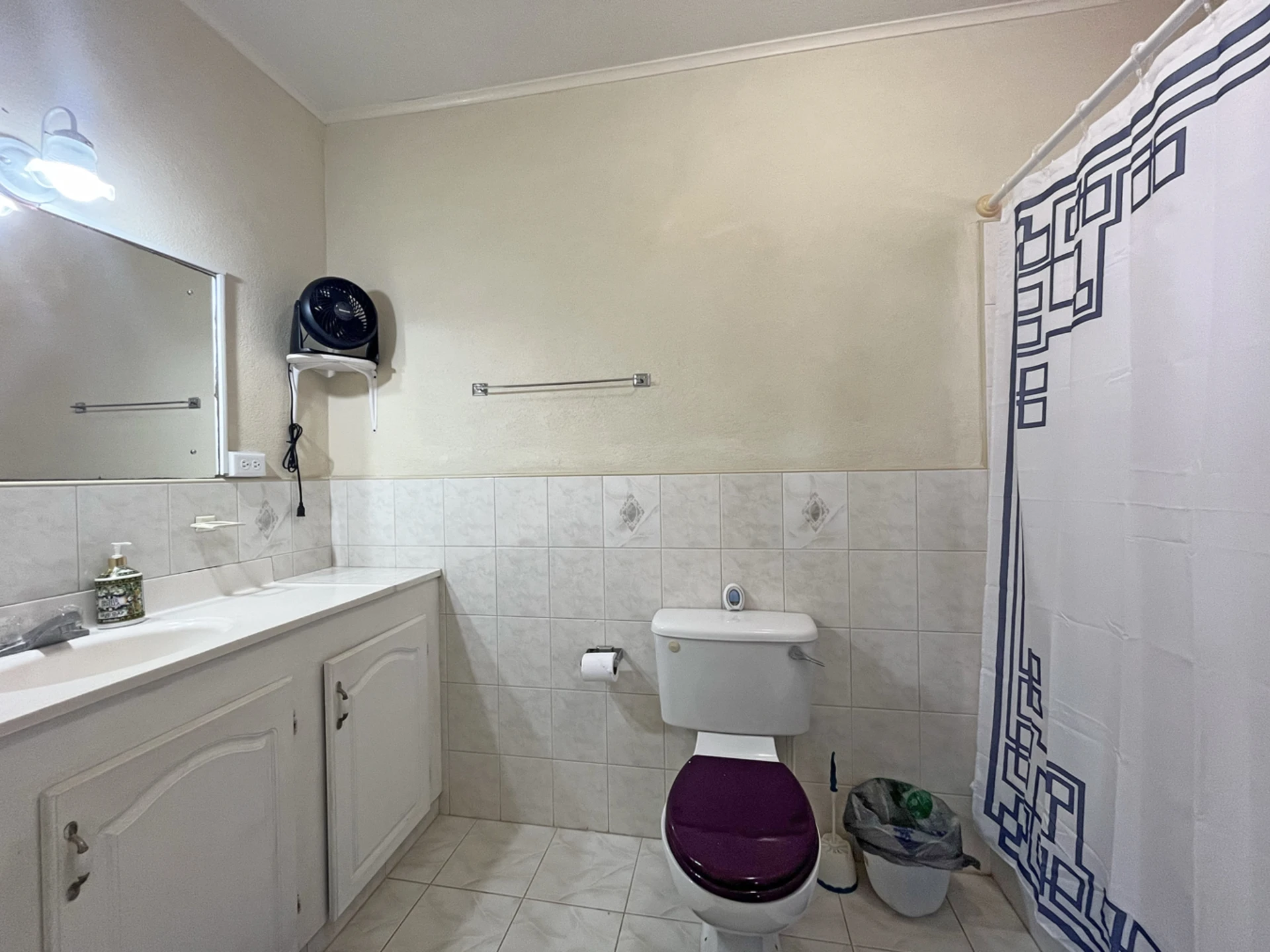 Ensuite primary bathroom