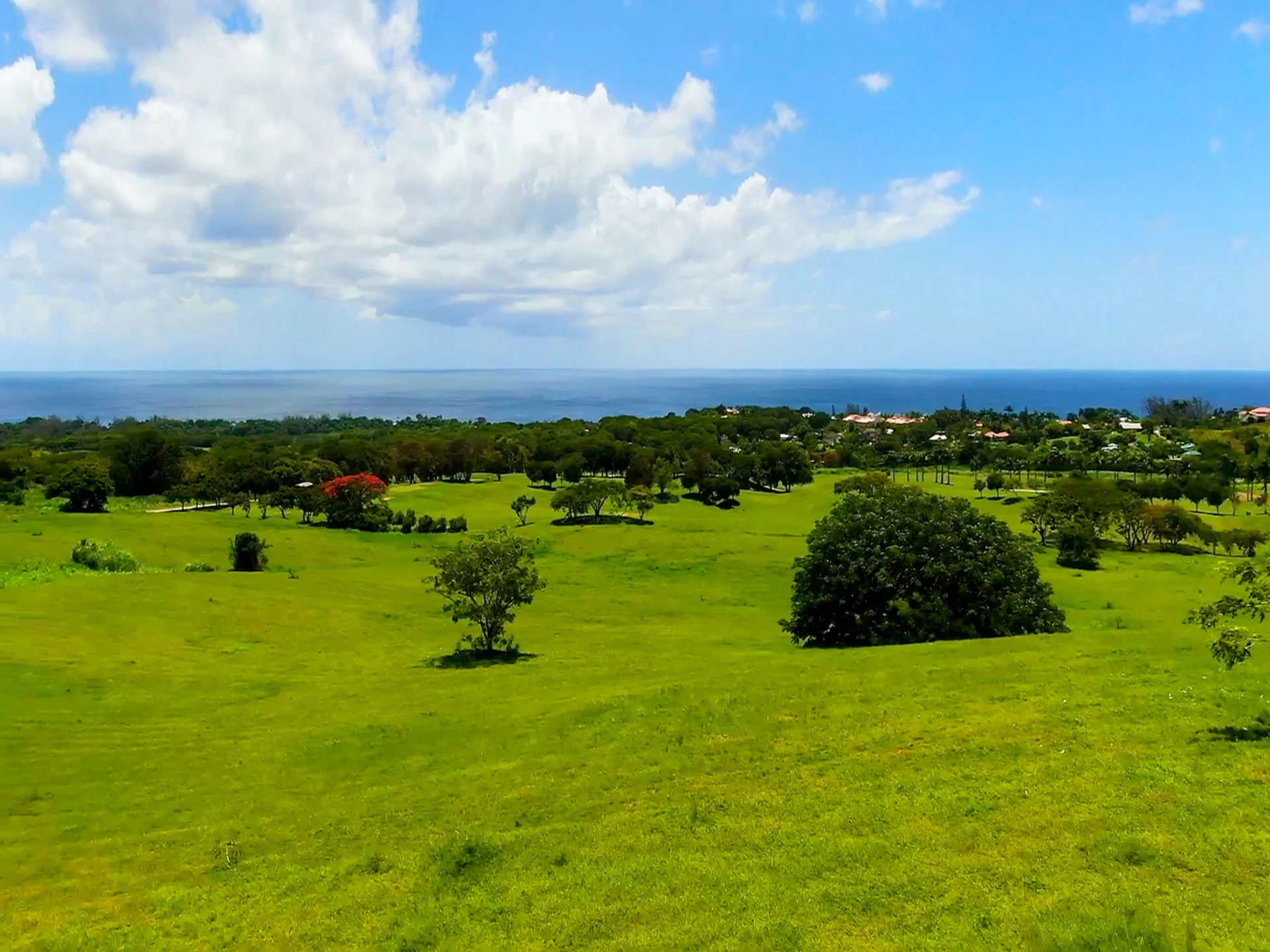 Ocean View